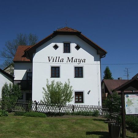Villa Maya Horní Planá 外观 照片