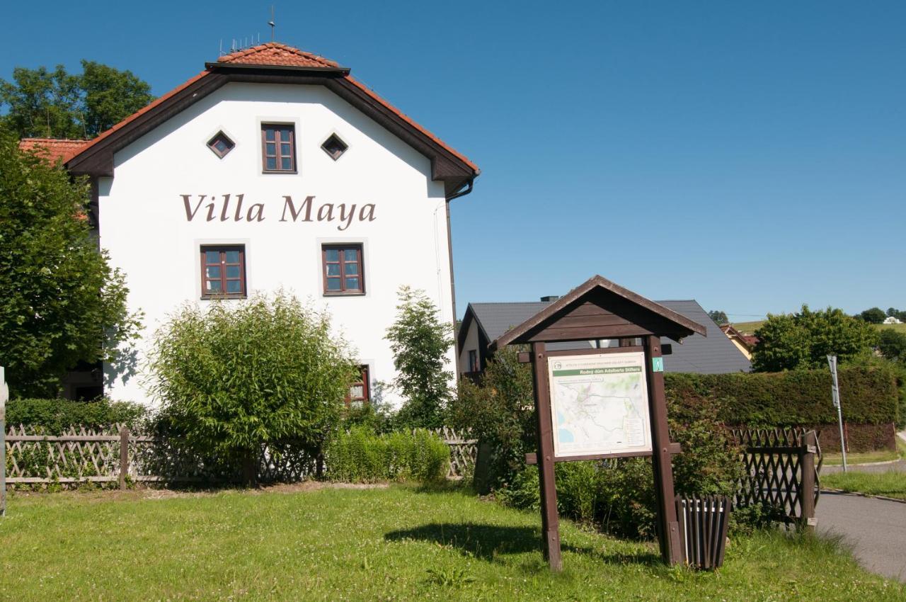 Villa Maya Horní Planá 外观 照片